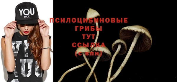 скорость Магас