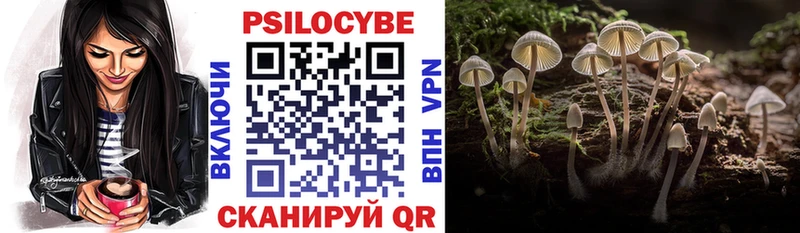 Псилоцибиновые грибы мицелий  Купить где  Тавда 